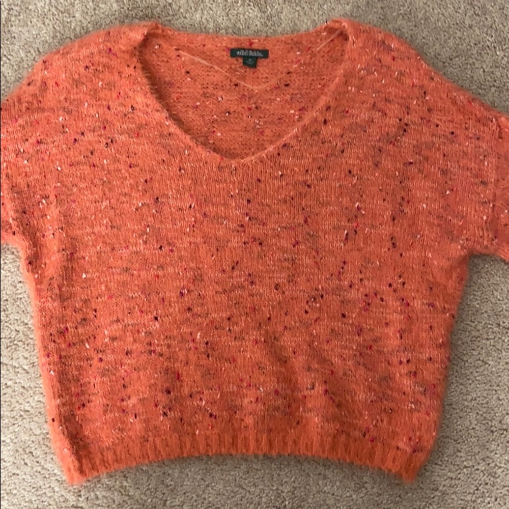 Fuzzy Muli-Colored Sweater